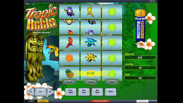 Tropic Reels 9